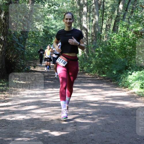 28.09.2025 - 33. Volkslauf durch das schöne Alstertal Strokosch-Dieckow http://msf.ph/oto/8974086 28.09.2025 12:35:31 Laufen 1118 meine-sportfotos.de