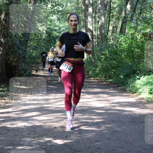 28.09.2025 - 33. Volkslauf durch das schöne Alstertal Strokosch-Dieckow http://msf.ph/oto/8974087 28.09.2025 12:35:31 Laufen 2040, 1118 meine-sportfotos.de