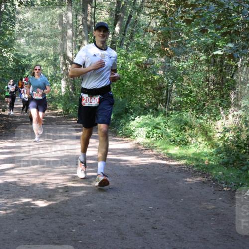 28.09.2025 - 33. Volkslauf durch das schöne Alstertal Strokosch-Dieckow http://msf.ph/oto/8974089 28.09.2025 12:35:35 Laufen 2040 meine-sportfotos.de