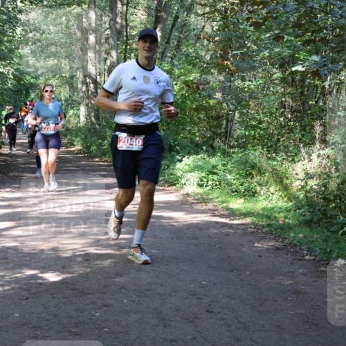 28.09.2025 - 33. Volkslauf durch das schöne Alstertal Strokosch-Dieckow http://msf.ph/oto/8974091 28.09.2025 12:35:36 Laufen 2220, 2040 meine-sportfotos.de