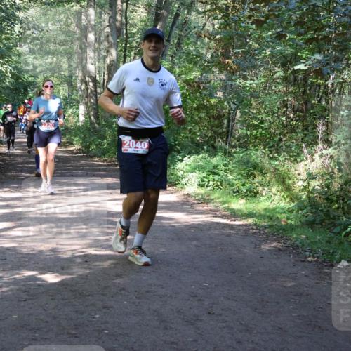 28.09.2025 - 33. Volkslauf durch das schöne Alstertal Strokosch-Dieckow http://msf.ph/oto/8974092 28.09.2025 12:35:36 Laufen 2220, 2040 meine-sportfotos.de