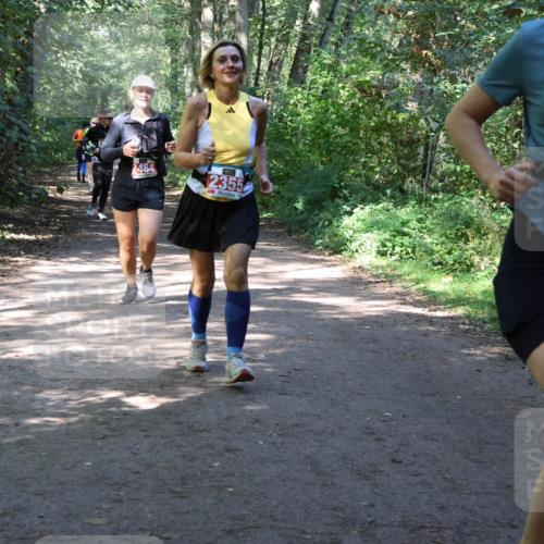 28.09.2025 - 33. Volkslauf durch das schöne Alstertal Strokosch-Dieckow http://msf.ph/oto/8974098 28.09.2025 12:35:40 Laufen 2220, 2464, 2355 meine-sportfotos.de