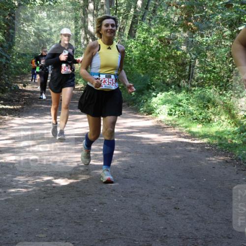28.09.2025 - 33. Volkslauf durch das schöne Alstertal Strokosch-Dieckow http://msf.ph/oto/8974100 28.09.2025 12:35:40 Laufen 2464, 2355, 22 meine-sportfotos.de