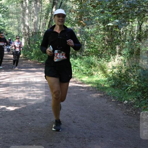 28.09.2025 - 33. Volkslauf durch das schöne Alstertal Strokosch-Dieckow http://msf.ph/oto/8974101 28.09.2025 12:35:42 Laufen 1754, 1104, 2464 meine-sportfotos.de