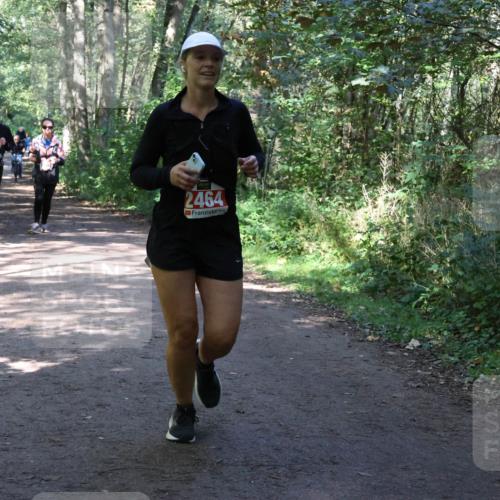 28.09.2025 - 33. Volkslauf durch das schöne Alstertal Strokosch-Dieckow http://msf.ph/oto/8974102 28.09.2025 12:35:42 Laufen 1754, 2464 meine-sportfotos.de