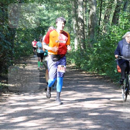 28.09.2025 - 33. Volkslauf durch das schöne Alstertal Strokosch-Dieckow http://msf.ph/oto/8974116 28.09.2025 12:35:55 Laufen 474550, 2158 meine-sportfotos.de