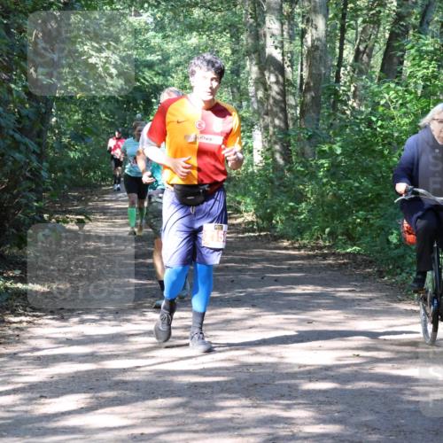 28.09.2025 - 33. Volkslauf durch das schöne Alstertal Strokosch-Dieckow http://msf.ph/oto/8974117 28.09.2025 12:35:56 Laufen  meine-sportfotos.de