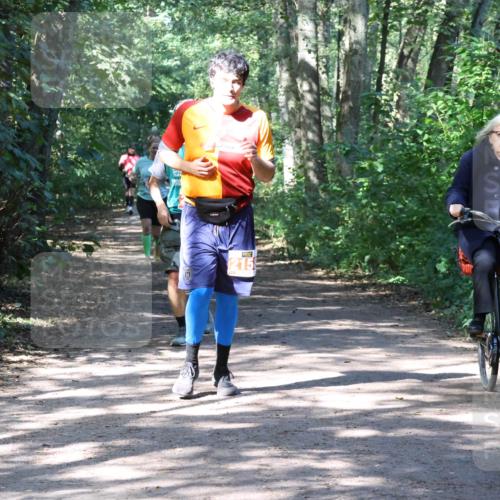 28.09.2025 - 33. Volkslauf durch das schöne Alstertal Strokosch-Dieckow http://msf.ph/oto/8974118 28.09.2025 12:35:56 Laufen 2158 meine-sportfotos.de