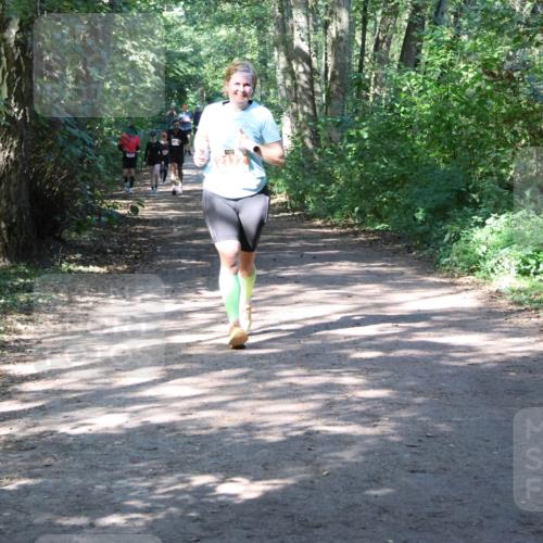 28.09.2025 - 33. Volkslauf durch das schöne Alstertal Strokosch-Dieckow http://msf.ph/oto/8974122 28.09.2025 12:36:03 Laufen  meine-sportfotos.de