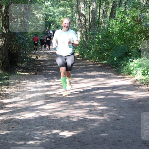 28.09.2025 - 33. Volkslauf durch das schöne Alstertal Strokosch-Dieckow http://msf.ph/oto/8974123 28.09.2025 12:36:03 Laufen  meine-sportfotos.de