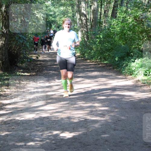 28.09.2025 - 33. Volkslauf durch das schöne Alstertal Strokosch-Dieckow http://msf.ph/oto/8974124 28.09.2025 12:36:03 Laufen  meine-sportfotos.de