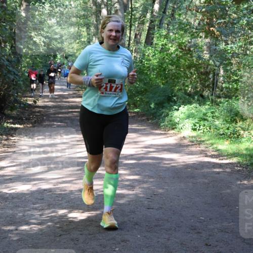 28.09.2025 - 33. Volkslauf durch das schöne Alstertal Strokosch-Dieckow http://msf.ph/oto/8974125 28.09.2025 12:36:05 Laufen 2172 meine-sportfotos.de