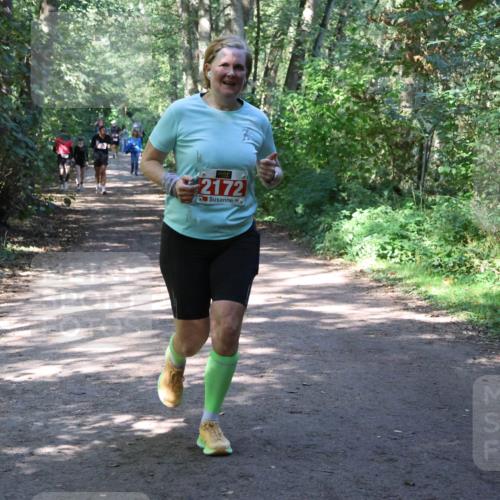 28.09.2025 - 33. Volkslauf durch das schöne Alstertal Strokosch-Dieckow http://msf.ph/oto/8974126 28.09.2025 12:36:05 Laufen 2172 meine-sportfotos.de