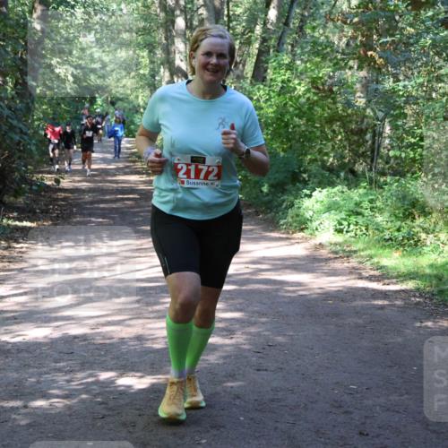28.09.2025 - 33. Volkslauf durch das schöne Alstertal Strokosch-Dieckow http://msf.ph/oto/8974128 28.09.2025 12:36:05 Laufen 2172 meine-sportfotos.de