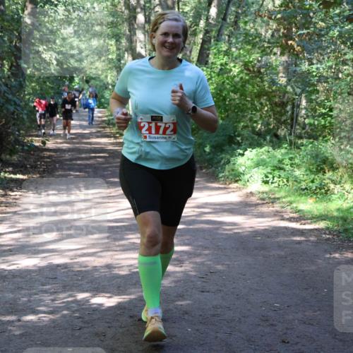 28.09.2025 - 33. Volkslauf durch das schöne Alstertal Strokosch-Dieckow http://msf.ph/oto/8974129 28.09.2025 12:36:05 Laufen 2172 meine-sportfotos.de