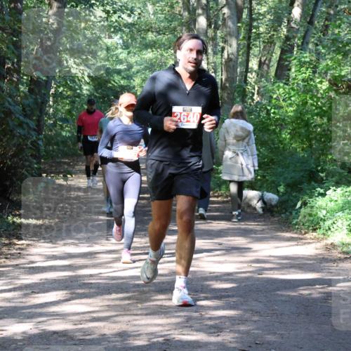 28.09.2025 - 33. Volkslauf durch das schöne Alstertal Strokosch-Dieckow http://msf.ph/oto/8974133 28.09.2025 12:36:18 Laufen 1579, 2640, 1 meine-sportfotos.de