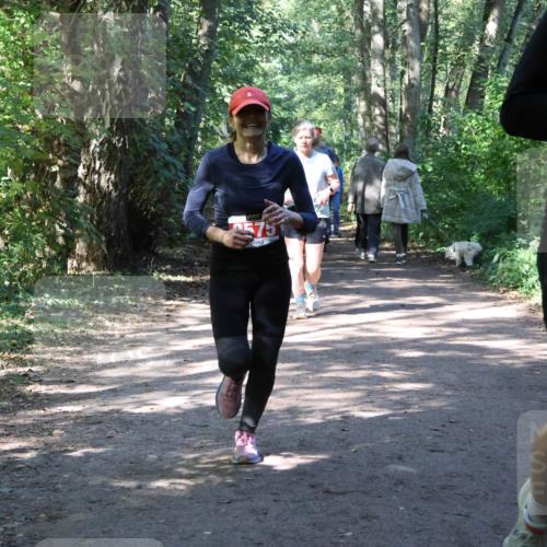 28.09.2025 - 33. Volkslauf durch das schöne Alstertal Strokosch-Dieckow http://msf.ph/oto/8974135 28.09.2025 12:36:20 Laufen 575 meine-sportfotos.de