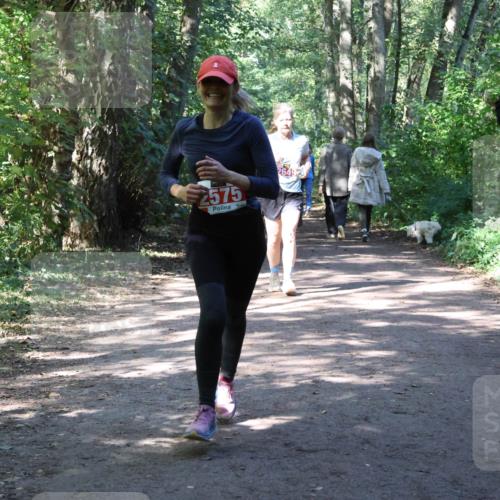 28.09.2025 - 33. Volkslauf durch das schöne Alstertal Strokosch-Dieckow http://msf.ph/oto/8974137 28.09.2025 12:36:20 Laufen 2575 meine-sportfotos.de