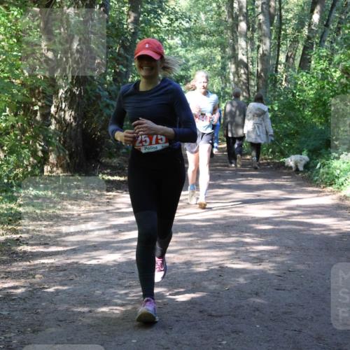 28.09.2025 - 33. Volkslauf durch das schöne Alstertal Strokosch-Dieckow http://msf.ph/oto/8974138 28.09.2025 12:36:20 Laufen 2575 meine-sportfotos.de
