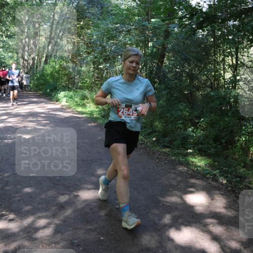 28.09.2025 - 33. Volkslauf durch das schöne Alstertal Strokosch-Dieckow http://msf.ph/oto/8974139 28.09.2025 12:36:24 Laufen 2649 meine-sportfotos.de