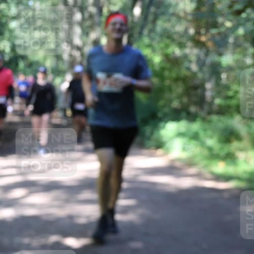 28.09.2025 - 33. Volkslauf durch das schöne Alstertal Strokosch-Dieckow http://msf.ph/oto/8974144 28.09.2025 12:36:27 Laufen  meine-sportfotos.de