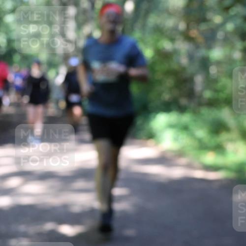 28.09.2025 - 33. Volkslauf durch das schöne Alstertal Strokosch-Dieckow http://msf.ph/oto/8974145 28.09.2025 12:36:27 Laufen  meine-sportfotos.de