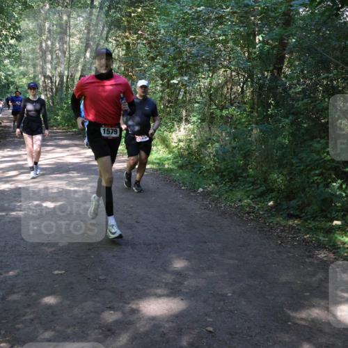 28.09.2025 - 33. Volkslauf durch das schöne Alstertal Strokosch-Dieckow http://msf.ph/oto/8974146 28.09.2025 12:36:32 Laufen 1579, 2544 meine-sportfotos.de