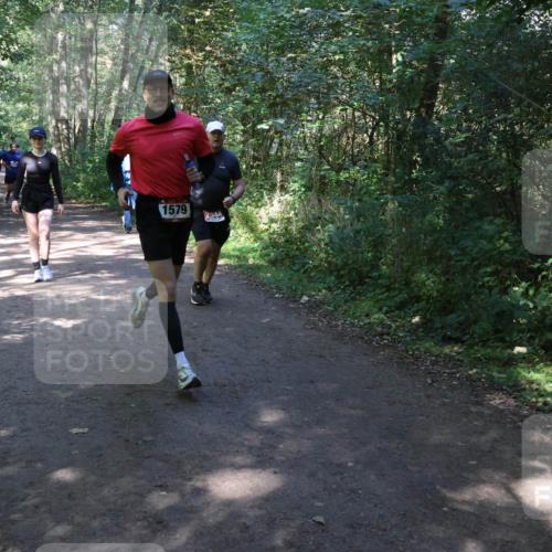 28.09.2025 - 33. Volkslauf durch das schöne Alstertal Strokosch-Dieckow http://msf.ph/oto/8974147 28.09.2025 12:36:32 Laufen 1579, 2544 meine-sportfotos.de