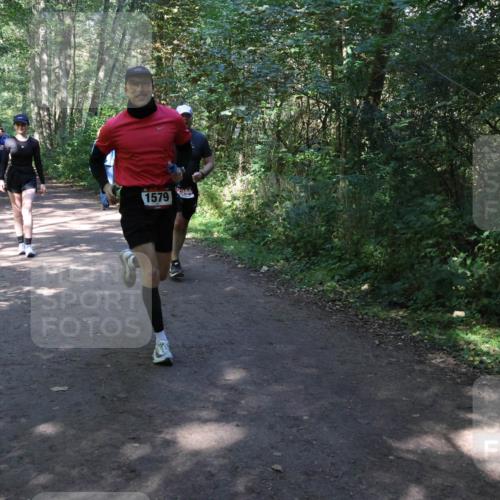 28.09.2025 - 33. Volkslauf durch das schöne Alstertal Strokosch-Dieckow http://msf.ph/oto/8974148 28.09.2025 12:36:32 Laufen 1579, 2544 meine-sportfotos.de