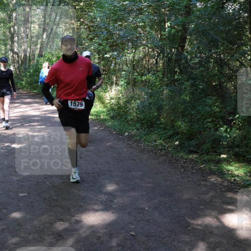 28.09.2025 - 33. Volkslauf durch das schöne Alstertal Strokosch-Dieckow http://msf.ph/oto/8974149 28.09.2025 12:36:32 Laufen 1579 meine-sportfotos.de