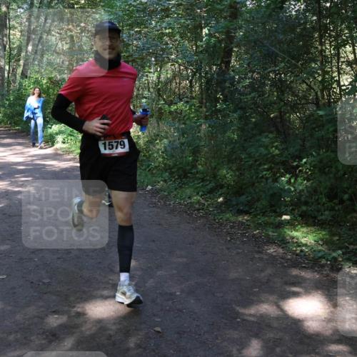 28.09.2025 - 33. Volkslauf durch das schöne Alstertal Strokosch-Dieckow http://msf.ph/oto/8974153 28.09.2025 12:36:32 Laufen 1579 meine-sportfotos.de