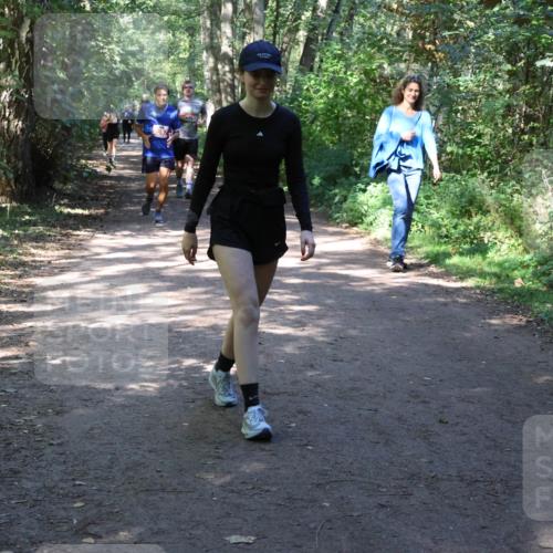 28.09.2025 - 33. Volkslauf durch das schöne Alstertal Strokosch-Dieckow http://msf.ph/oto/8974154 28.09.2025 12:36:35 Laufen 753, 34 meine-sportfotos.de