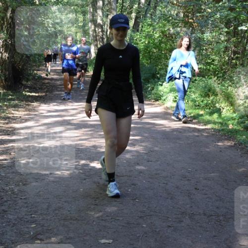28.09.2025 - 33. Volkslauf durch das schöne Alstertal Strokosch-Dieckow http://msf.ph/oto/8974156 28.09.2025 12:36:35 Laufen 1753, 24 meine-sportfotos.de