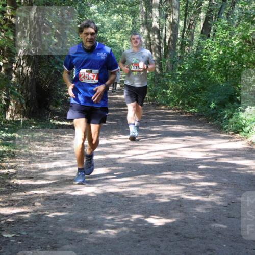 28.09.2025 - 33. Volkslauf durch das schöne Alstertal Strokosch-Dieckow http://msf.ph/oto/8974159 28.09.2025 12:36:38 Laufen 2567, 175 meine-sportfotos.de