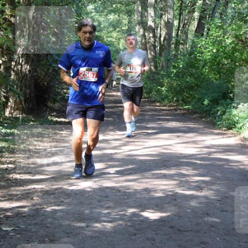 28.09.2025 - 33. Volkslauf durch das schöne Alstertal Strokosch-Dieckow http://msf.ph/oto/8974160 28.09.2025 12:36:38 Laufen 2567, 175 meine-sportfotos.de