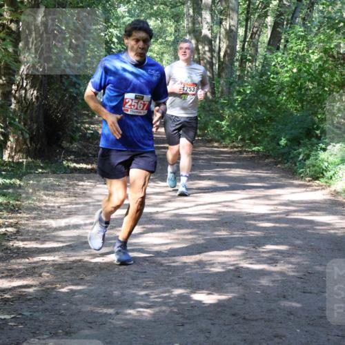 28.09.2025 - 33. Volkslauf durch das schöne Alstertal Strokosch-Dieckow http://msf.ph/oto/8974165 28.09.2025 12:36:39 Laufen 2567, 753 meine-sportfotos.de