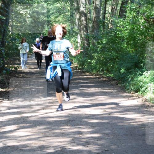 28.09.2025 - 33. Volkslauf durch das schöne Alstertal Strokosch-Dieckow http://msf.ph/oto/8974181 28.09.2025 12:36:55 Laufen 2028 meine-sportfotos.de