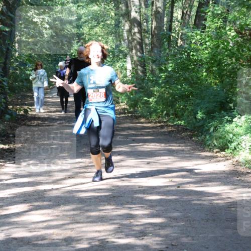 28.09.2025 - 33. Volkslauf durch das schöne Alstertal Strokosch-Dieckow http://msf.ph/oto/8974182 28.09.2025 12:36:55 Laufen 2028 meine-sportfotos.de
