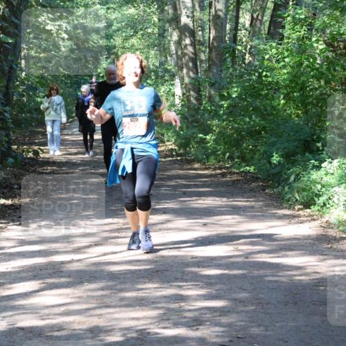 28.09.2025 - 33. Volkslauf durch das schöne Alstertal Strokosch-Dieckow http://msf.ph/oto/8974183 28.09.2025 12:36:55 Laufen 2028 meine-sportfotos.de