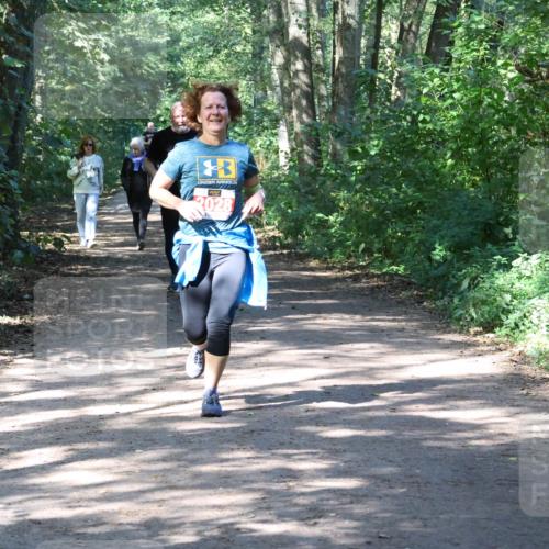 28.09.2025 - 33. Volkslauf durch das schöne Alstertal Strokosch-Dieckow http://msf.ph/oto/8974186 28.09.2025 12:36:55 Laufen 2028 meine-sportfotos.de