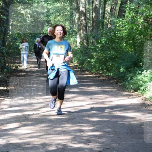 28.09.2025 - 33. Volkslauf durch das schöne Alstertal Strokosch-Dieckow http://msf.ph/oto/8974187 28.09.2025 12:36:55 Laufen  meine-sportfotos.de