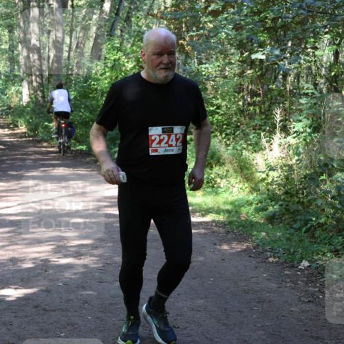 28.09.2025 - 33. Volkslauf durch das schöne Alstertal Strokosch-Dieckow http://msf.ph/oto/8974188 28.09.2025 12:37:02 Laufen 2242 meine-sportfotos.de