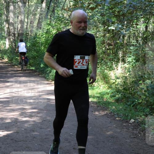 28.09.2025 - 33. Volkslauf durch das schöne Alstertal Strokosch-Dieckow http://msf.ph/oto/8974190 28.09.2025 12:37:02 Laufen 2242 meine-sportfotos.de