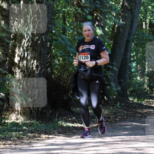 28.09.2025 - 33. Volkslauf durch das schöne Alstertal Strokosch-Dieckow http://msf.ph/oto/8974191 28.09.2025 12:37:19 Laufen 1120 meine-sportfotos.de