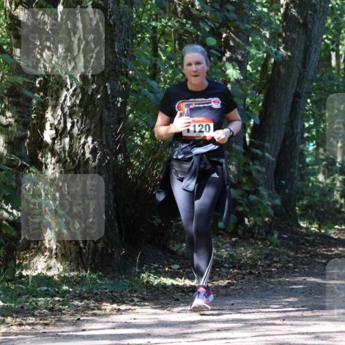 28.09.2025 - 33. Volkslauf durch das schöne Alstertal Strokosch-Dieckow http://msf.ph/oto/8974194 28.09.2025 12:37:20 Laufen 120 meine-sportfotos.de