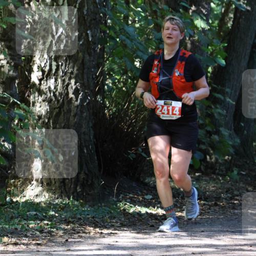 28.09.2025 - 33. Volkslauf durch das schöne Alstertal Strokosch-Dieckow http://msf.ph/oto/8974197 28.09.2025 12:37:48 Laufen 2414 meine-sportfotos.de