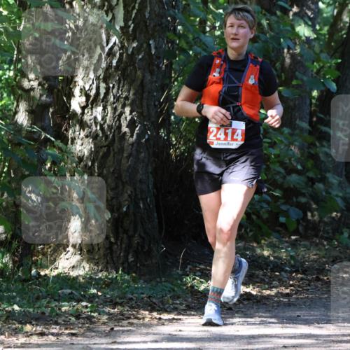 28.09.2025 - 33. Volkslauf durch das schöne Alstertal Strokosch-Dieckow http://msf.ph/oto/8974201 28.09.2025 12:37:49 Laufen 2414 meine-sportfotos.de
