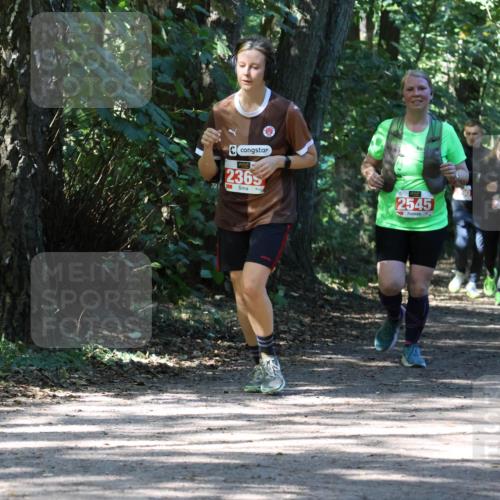 28.09.2025 - 33. Volkslauf durch das schöne Alstertal Strokosch-Dieckow http://msf.ph/oto/8974202 28.09.2025 12:38:04 Laufen 2365, 2545 meine-sportfotos.de