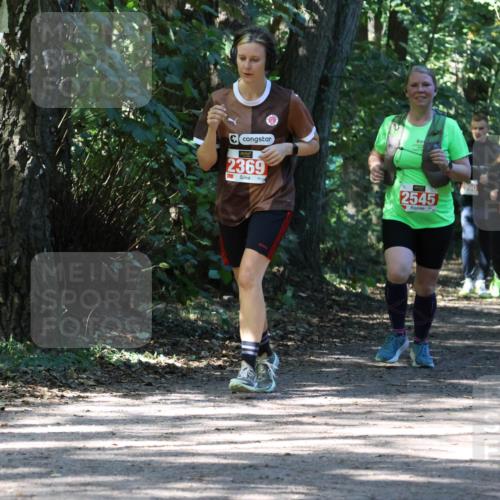 28.09.2025 - 33. Volkslauf durch das schöne Alstertal Strokosch-Dieckow http://msf.ph/oto/8974203 28.09.2025 12:38:04 Laufen 2369, 2545 meine-sportfotos.de