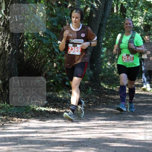 28.09.2025 - 33. Volkslauf durch das schöne Alstertal Strokosch-Dieckow http://msf.ph/oto/8974204 28.09.2025 12:38:05 Laufen 2369, 2545 meine-sportfotos.de
